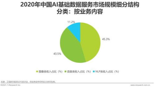 2021年中國人工智能基礎層行業(yè)研究報告 基礎軟件開發(fā)篇